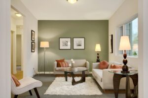 Interior Painting Ideas